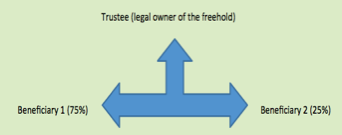 Outline of a more complex trust