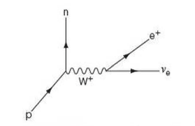 Feynman diagram for positron radioactive decay