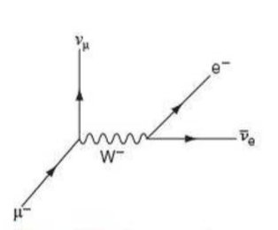 Muon decay feynman diagram