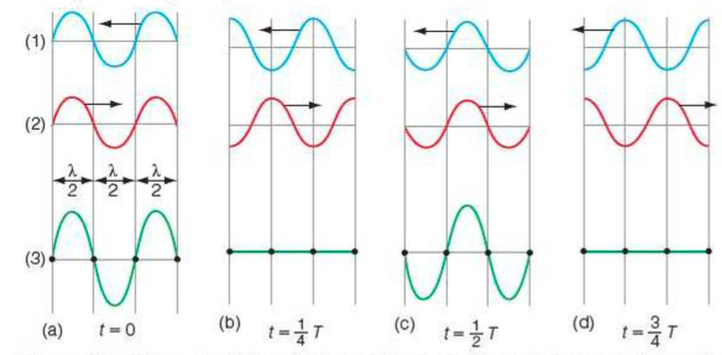 Stationary Waves | Digestible Notes