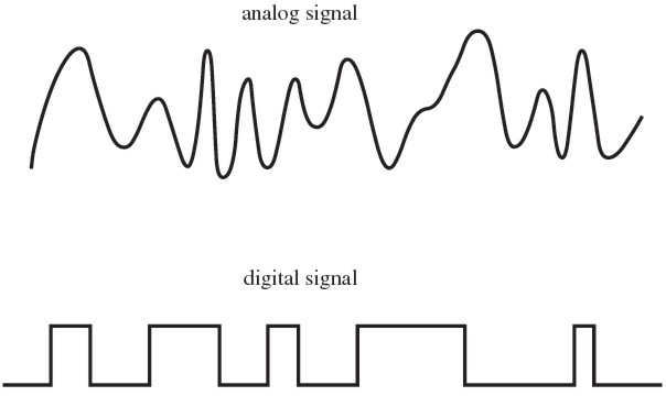 Analog and Digital Signals Diagram