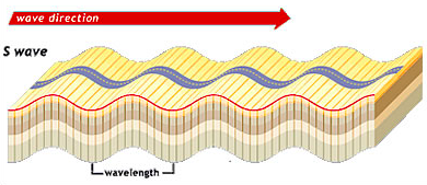 s waves can only travel through