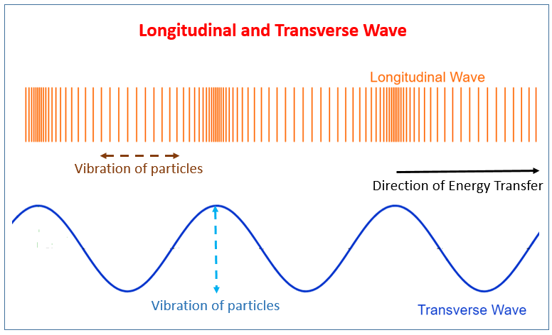 l waves can travel through